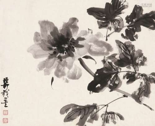 谢稚柳（1910～1997） 墨牡丹 立轴 水墨纸本