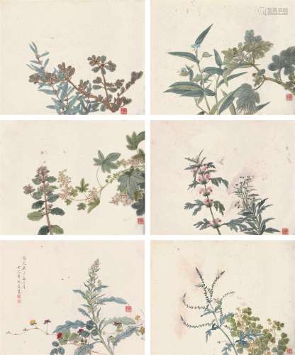 董婉贞（1776～1849） 花卉册 册页 （六开） 设色纸本