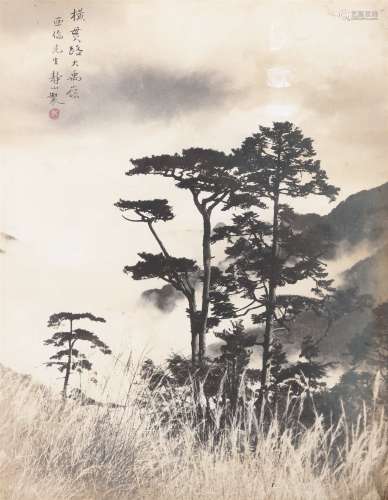 郎静山（1892～1995） 大禹岭 摄影