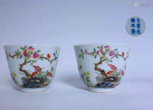 Pair Of Chinese Famille Rose Porcelain Vase