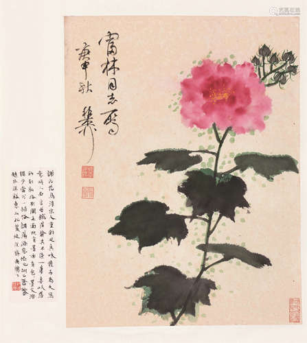 谢稚柳 芙蓉图 立轴