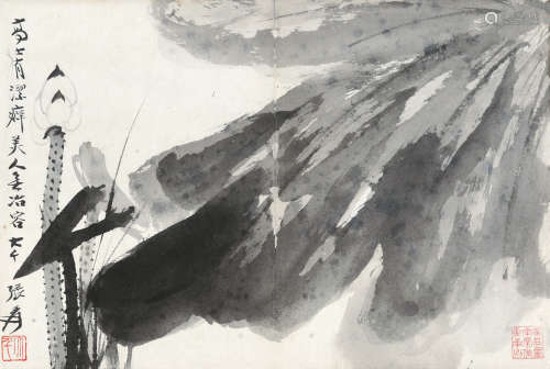 张大千（1899～1983） 墨荷 镜片 水墨纸本