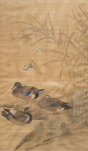 MANDARIN DUCK, 19TH CENTURY