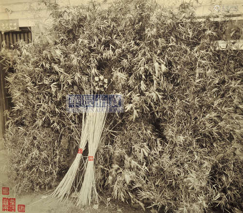 林然 2009年 花开花落—风车子