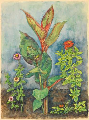 张光宇（1900～1965） 1955年作 煤渣胡同墙角之花 纸本水彩