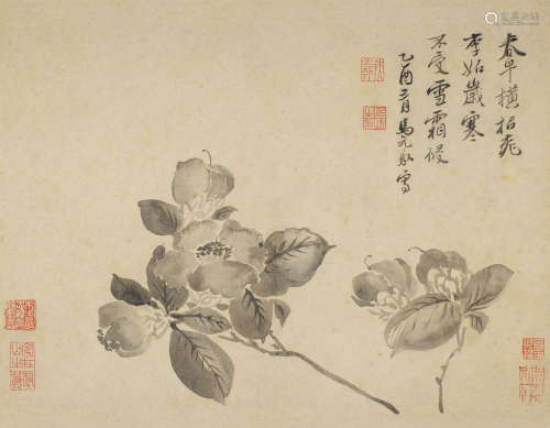 马元驭（1669～1722） 茶花 镜心 纸本