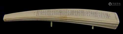 19th century walrus tusk carved cribbage board, 31