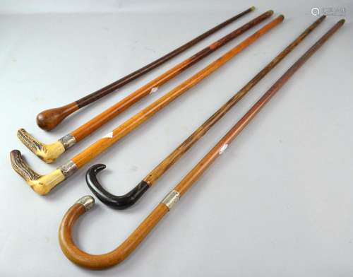 Collection of walking canes 2 with horn handles an