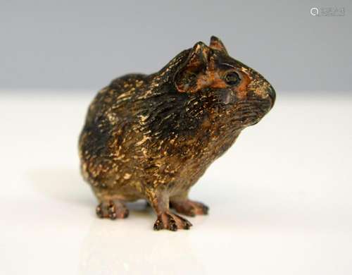 Austrian cold painted bronze of a Guinea pig, stam