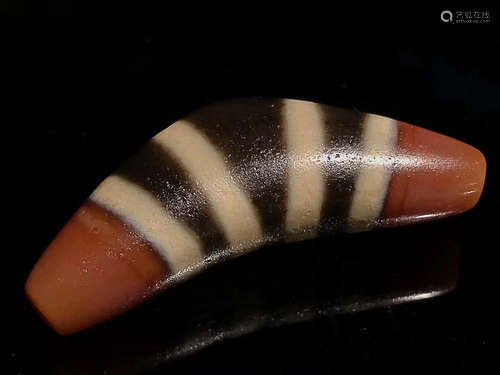 AN OX HORN SEVEN LINE BEAD