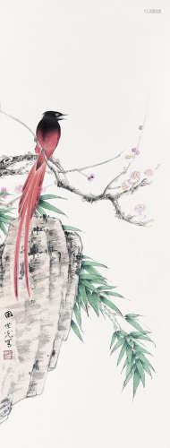 田世光（1916～1999） 绶带 镜心 纸本设色