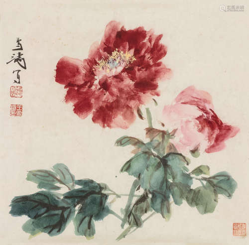 王雪涛（1903～1982） 富贵牡丹 镜心 设色纸本