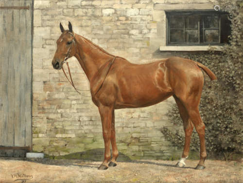 Portrait of a horse in a stable yard Frances Mabel Hollams(British, 1877-1963)