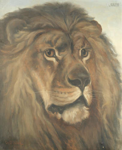 Head of a lion, thought to be Wallace 