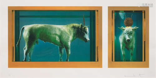 The Golden Calf Damien Hirst(British, born 1965)