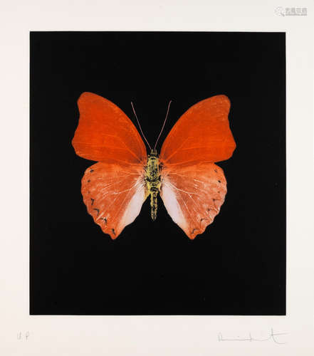 Orange Butterfly  Damien Hirst(British, born 1965)