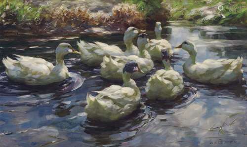 KOESTER, ALEXANDER Seven Ducks on Sunny Reed Water