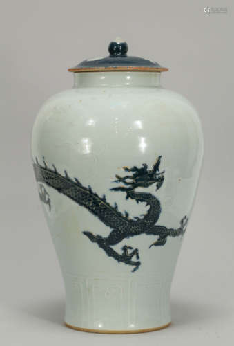 Chinese Ming Style Blue/White Porcelain Vase