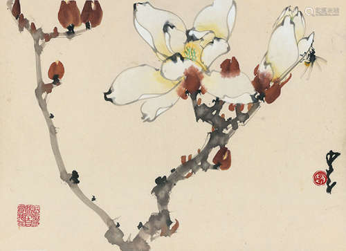 赵少昂（1905～1998） 玉兰 镜片 设色纸本