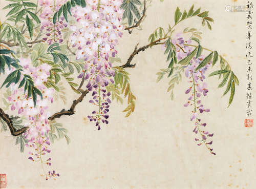 周炼霞（1906～2000） 己未（1979）年作 紫藤 镜片 设色纸本