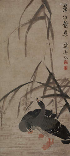 边寿民（1684～1752） 苇汀静集 立轴 设色纸本