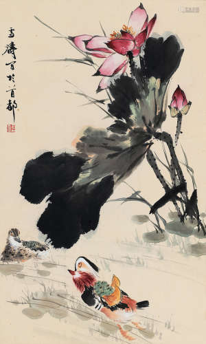 王雪涛（1903～1982） 荷花鸳鸯 镜片 设色纸本