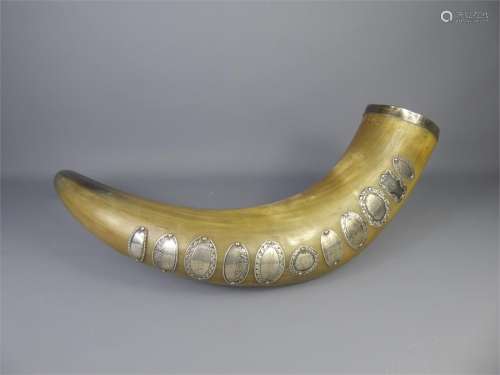 A German Bovine Trophy Horn
