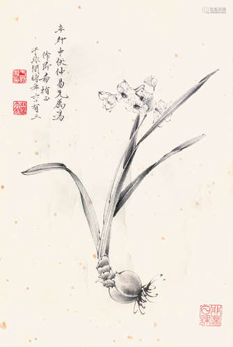 于非闇   水仙花