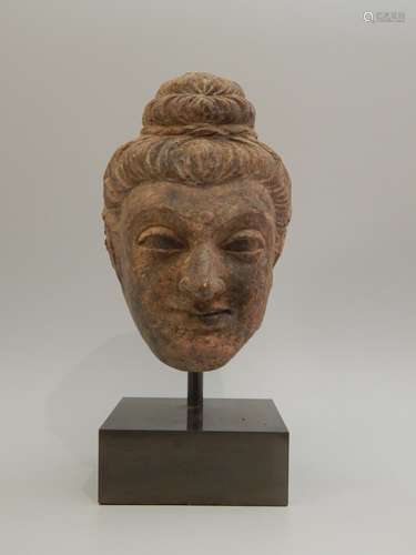 Tête de Bouddha en terre cuite. H : 21 cm. GANDHAR...