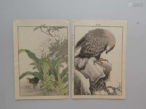 Keinen. Deux estampes d’oiseaux. Vers 1891Keine...