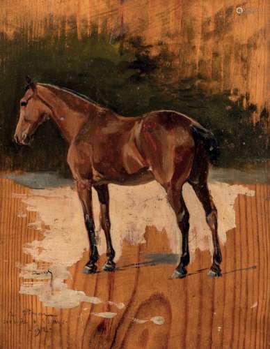 Auguste VIMAR (Marseille 1851–1916) - Étude d’un cheval