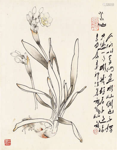 郑乃珖 王子武（1911～2005） 水仙图 镜片 设色纸本