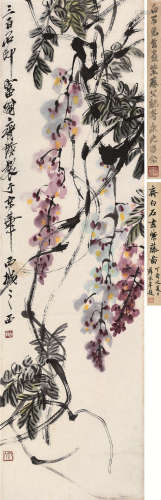 齐白石（1863～1957） 紫藤 立轴 设色纸本