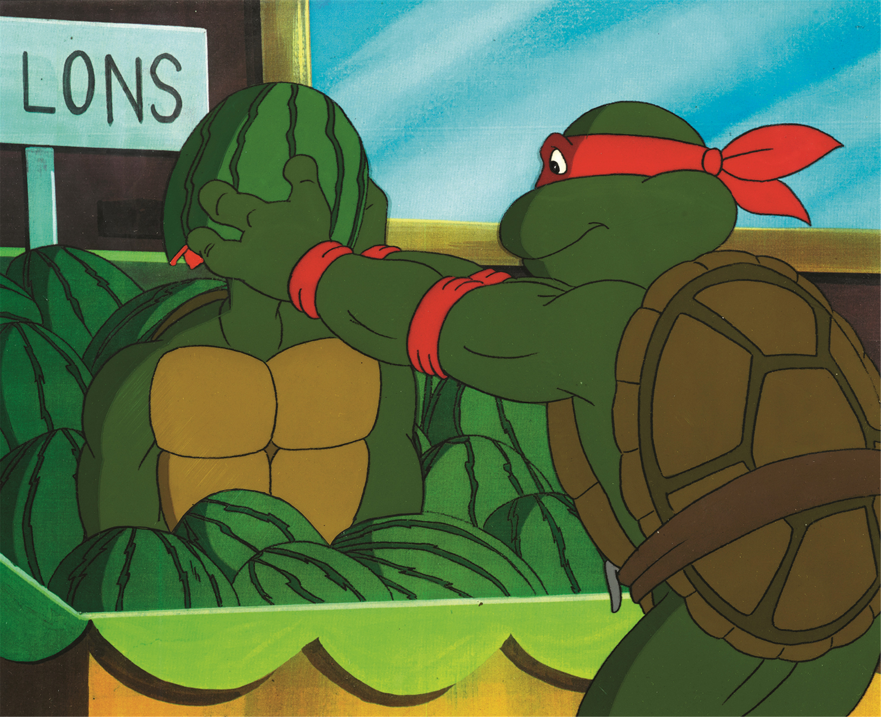 忍者神龟 动画片 2007图片