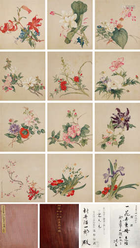 邹一桂 郎世宁（1686～1772） 花卉合册 册页 纸本设色