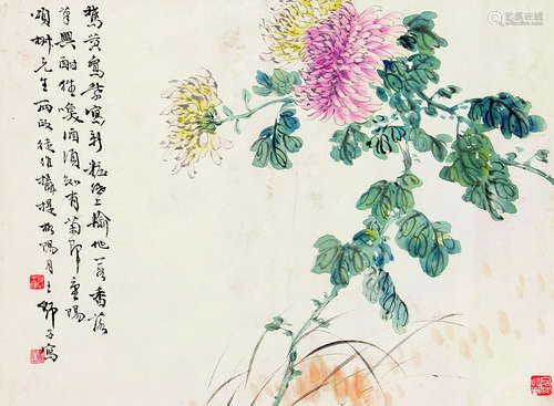 王师子（1885～1950） 菊花图 立轴 设色纸本