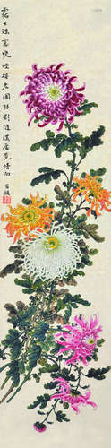 缪谷瑛（1875～1954） 菊花 镜片 设色纸本