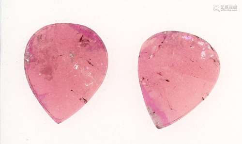 Pair of rubellite