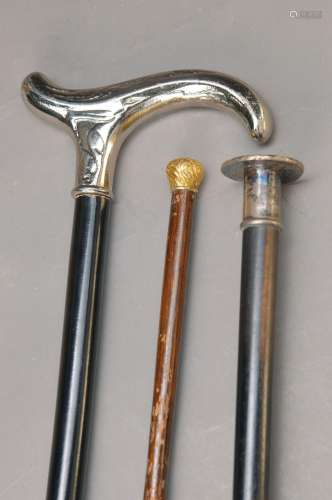 3 canes: 1 around 1900