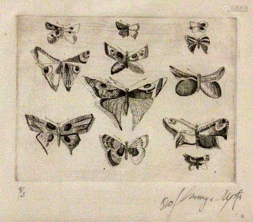 UNKNOWN ARTIST 1981 Butterflies. Etching