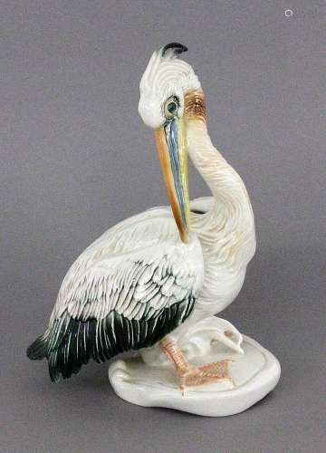 A PELICAN Karl Ens, Volkstedt Naturalistically