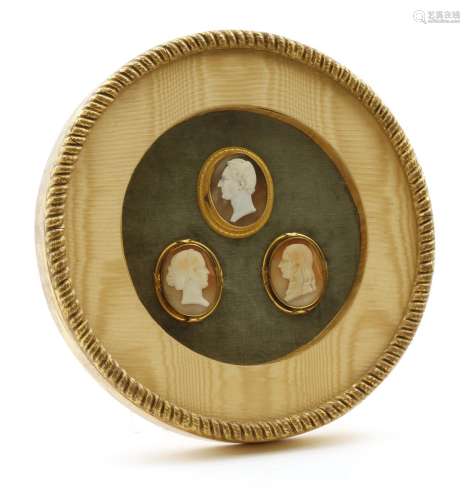 Three shell cameos mounted in a wooden frame, the cameos depicting the Duke of Wellington, approx.