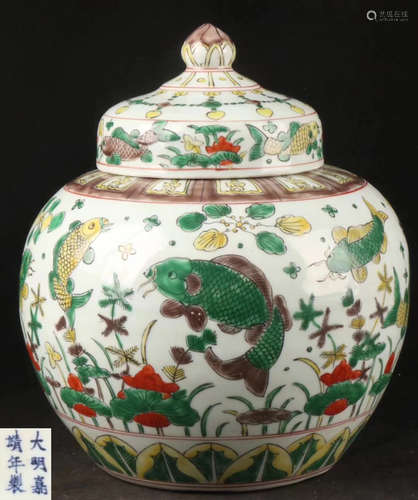 A WUCAI FISH AND SEA-PLANT PATTERN JAR