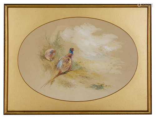 A watercolour study of a hen and cock pheasants signed James Stinton