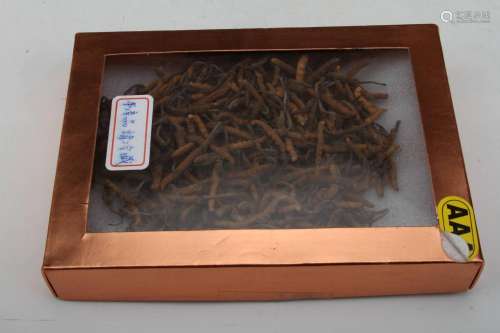 TRADITIONAL CHINESE MEDICINE CORDYCEPS SINENSIS(TOTAL 86g)