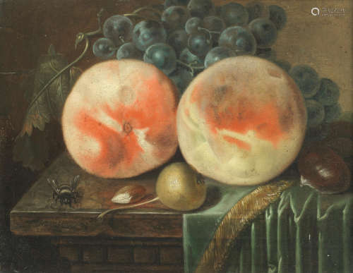 A pair of still lifes  Johann Daniel Bager(German, 1734-1815)