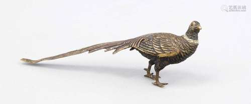 Vienna bronze early 20th century, pheasant, polychrome cold-painted, massiv