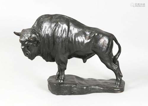 Anonymous sculptor around 1920, large bronze sculpture of a bison, dark pat