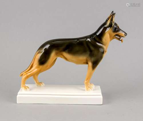 Schäferhund, Schwarzburger Werkstätten, um 1920, sign. 'A. Zauche 1875-1941