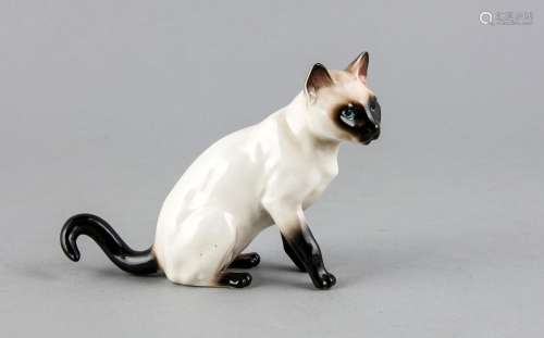 Siamese cat sitting, England, 20th cent., Polychrome painted, H. 10 cm